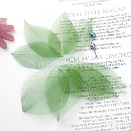 Natural Catbrier Skeleton Leav - Embellish Craft avaliação e preço