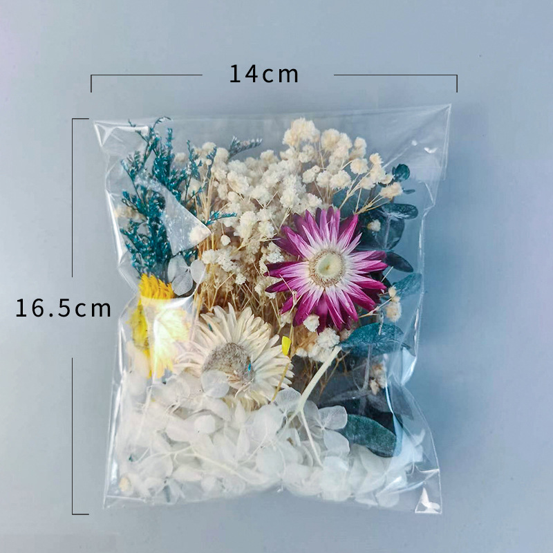 1pack Multifarious Dried Flowe - Embellish Craft avaliação e preço