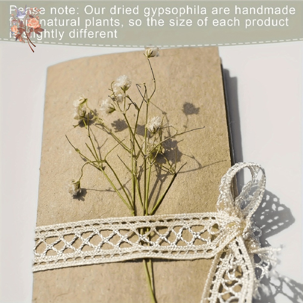 100pcs Mini Dried Baby's Breat - Embellish Craft avaliação e preço